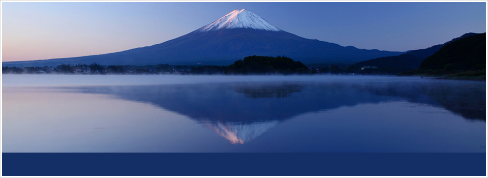 VPharm Consulting Co., Ltd.